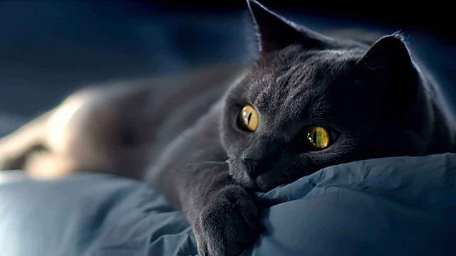 进阶组  010带退伍  冰雪队13分钟0级S塔