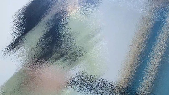 身而自由，爱而无畏