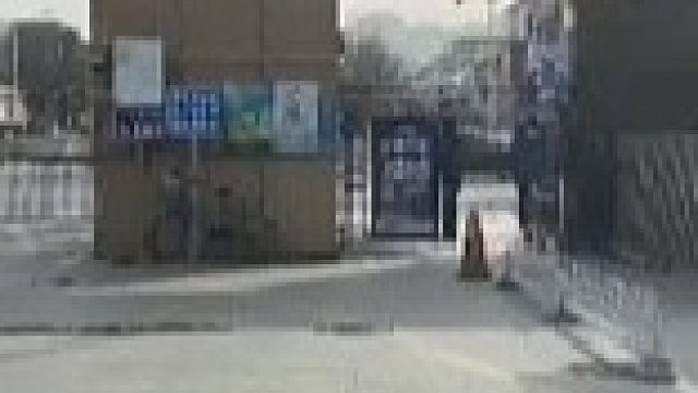 老公绝望6连吼“踩刹车”声中，女司机反问“刹车在哪”