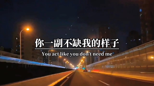 你一副不缺我的样子，我又怎么敢去打扰你？我用了所有的真心和热情，最后只是感动了我自己