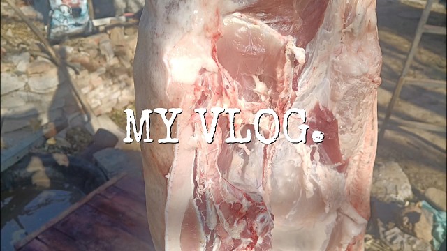 我发布了一个新视频，快来围观吧！