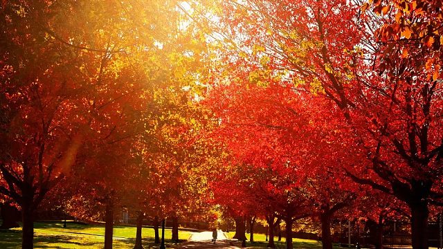 感谢 王者老板的魔法书呐 哦吼 起飞的仔子来了 哈哈哈哈哈
