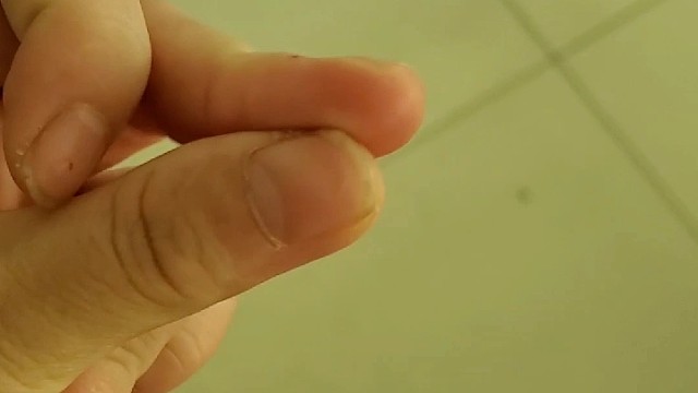 王者菜小鸡的菜园子