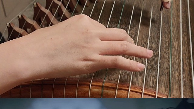棣棣