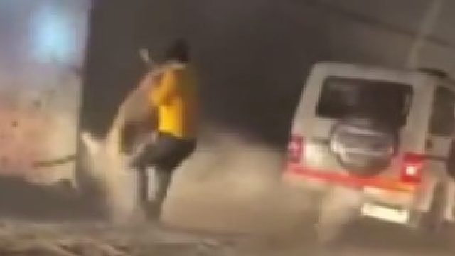 奋力反击奋力反击