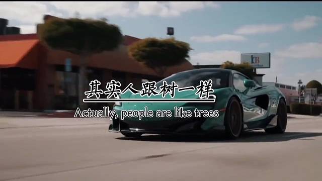 其实人跟树一样，越是向往高处的阳光，它的根就越要伸向黑暗的地底。所谓坚强，不过是接受最差的