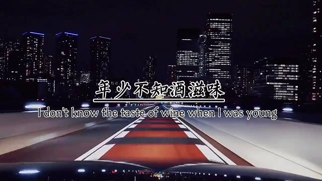 年少不知酒滋味，喝懂已是残年深，我竟往事不回头，敬你，余生不将就喝酒，不问度数，酒后不问去处。