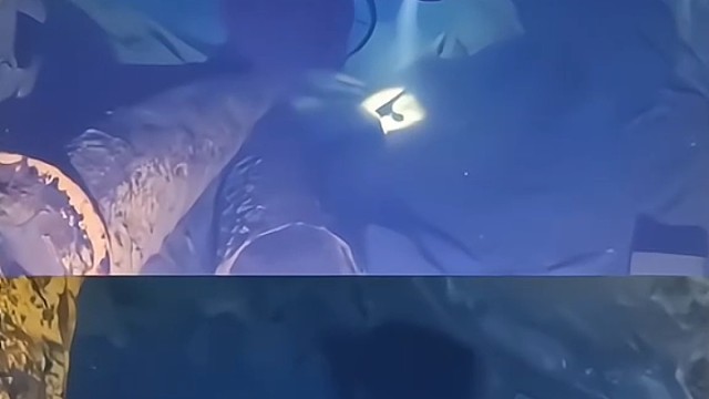 下潜看看洞底到底有什么