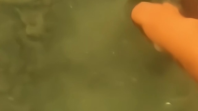 这海底竟然还有这个