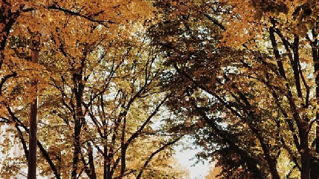 感谢 王者老板的魔法书哇 哈哈哈 起飞飞 刚上班仔就起飞了