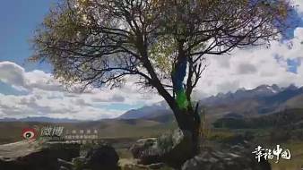 我是一顆小虎牙42670虎牙文化直播_我是一顆小虎牙42670視頻直播 - 虎牙直播