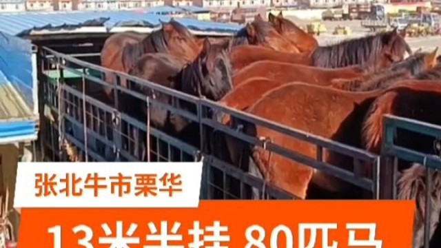 这马宰了有点可惜哦