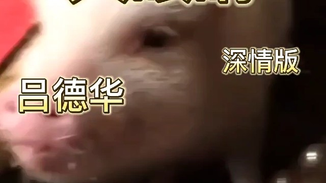 快艾特你的儿子来看看土天花板吕德华的深情演唱吧