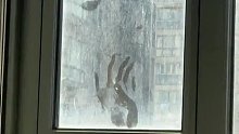 男子早晨拉开窗帘看到窗外玻璃上的手掌印，究竟是怎么回事