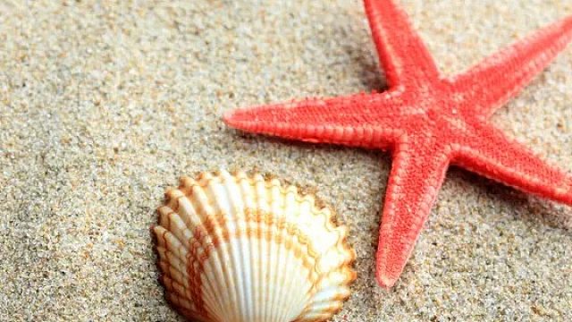 感谢 曾经老板的大火锅哈 那好 今日份的晚餐要来了 哈哈哈哈