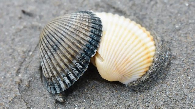 感谢 曾经老板的10枚大血瓶哈 芜湖 仔感觉自己瞬间能量饱满了