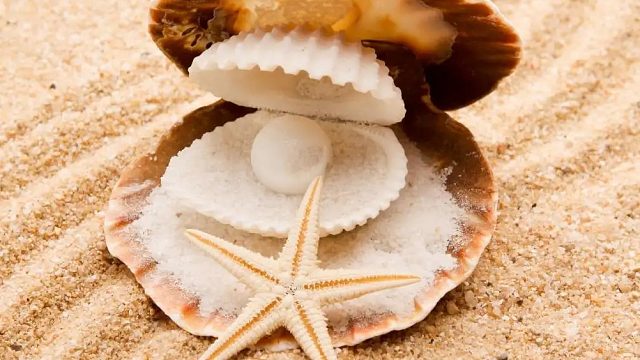 感谢 曾经老板的魔法书哇  真是开心的一天  哈哈哈哈哈 收