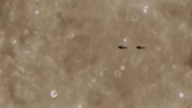 兄弟们我们该怎么办？