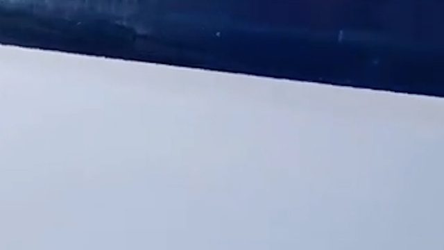 吉林有一只老鼠被冻成了车标。