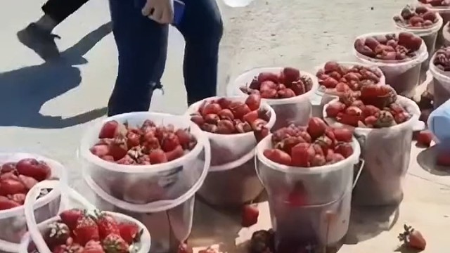 伤敌一千自损一万二