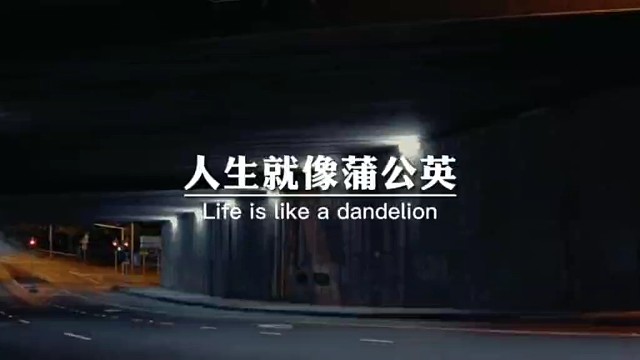 人生就像蒲公英