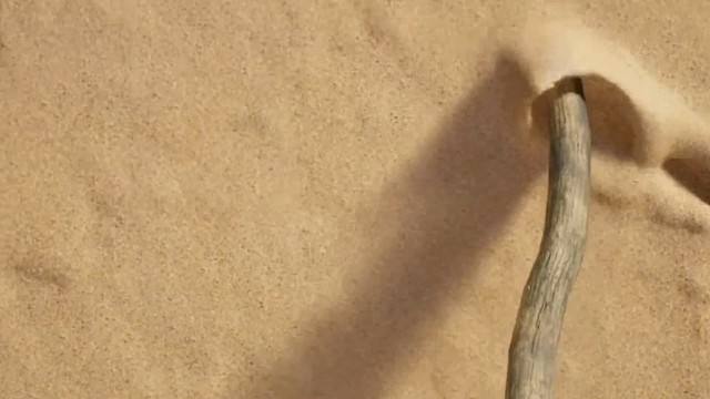 人心是一天天变冷的