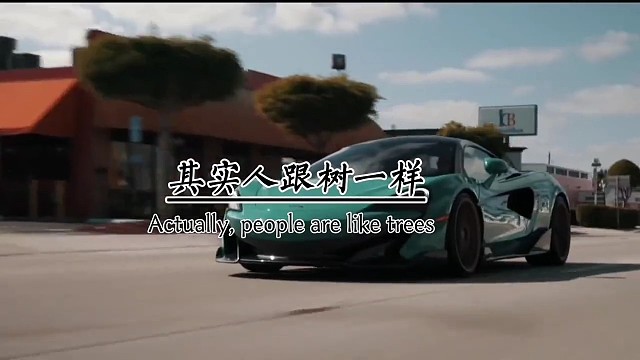 其实人跟树一样，越是向往高处的阳光，它的根就越要伸向黑暗的地底。所谓坚强，不过是接受最差的