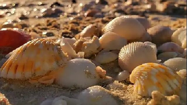 感谢 王者老板的魔法书哈   又是一个上班的大惊喜 哈哈哈哈哈