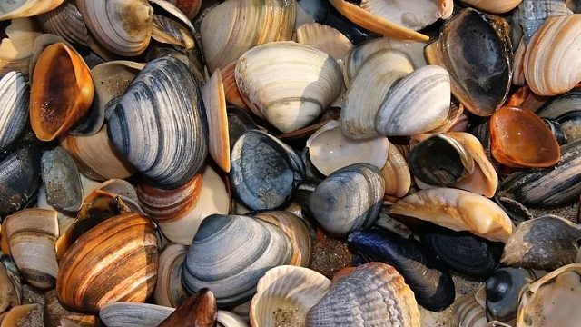 感谢 曾经老板的魔法书哈  哦吼 起飞飞 但是仔今天状态不太好  生病了