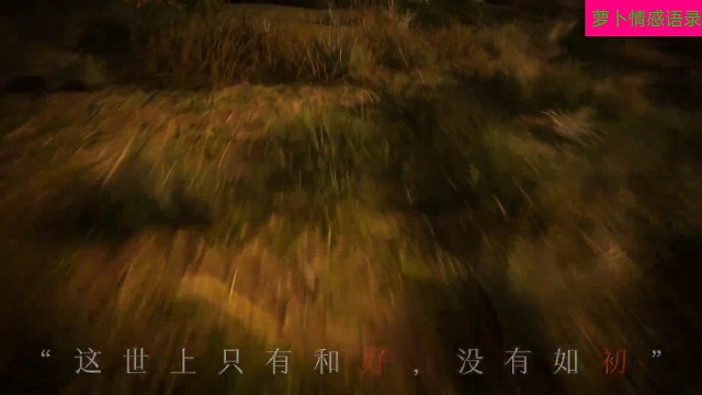 “人一旦有了隔阂，就真的走不进了”