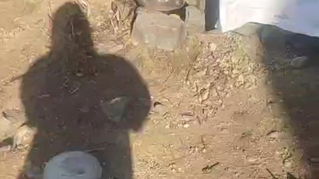 千年修行千年孤独