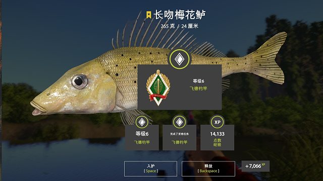 唯有诺克河-长吻梅花鲈