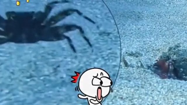 动画片诚不欺我，章鱼哥捕食螃蟹，这螃蟹弹跳够好的