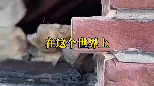 在这个世界上最亲的人