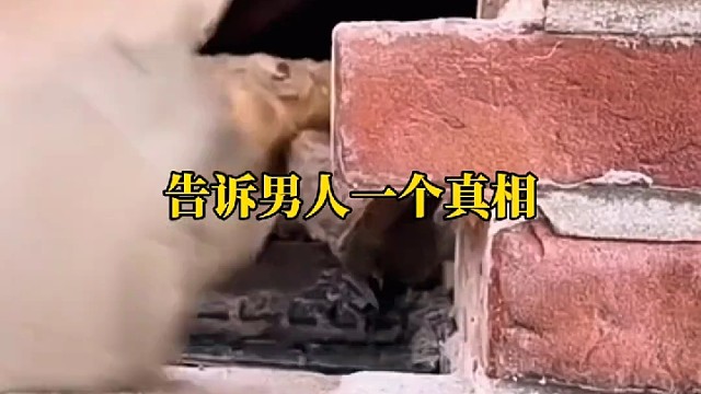 突然冷落你的女人