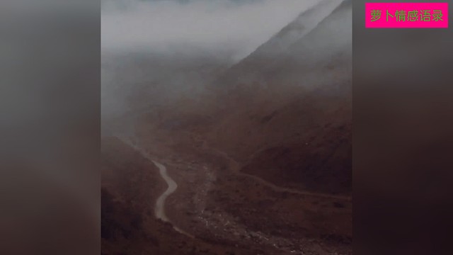 拥有过失去和不曾拥有哪个更遗憾