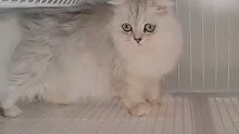 期待小可愛的誕生