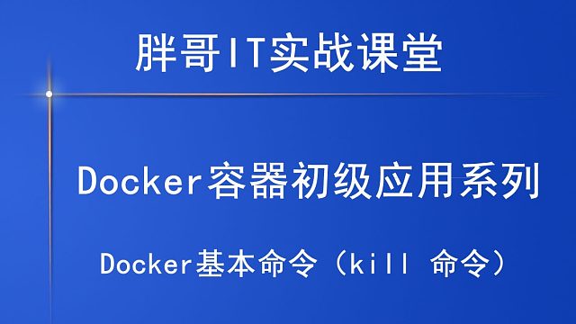Docker基本命令（kill 命令）上-3
