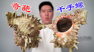这是我见过最奇葩的大海螺，蘸我灵魂酱汁，越吃越上头