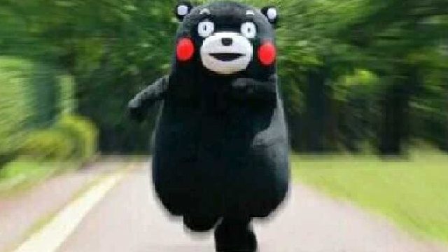 紧张刺激的火炬鉴定环节！