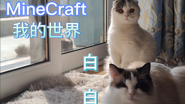 MineCraft我的世界白白实况视频《第一期》