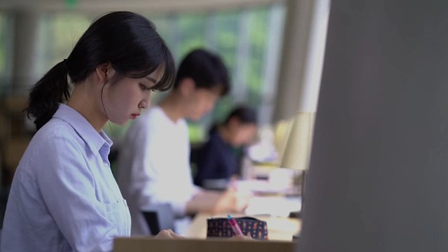 韩国加图立大学