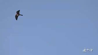 我是一顆小虎牙42671虎牙文化直播_我是一顆小虎牙42671視頻直播 - 虎牙直播