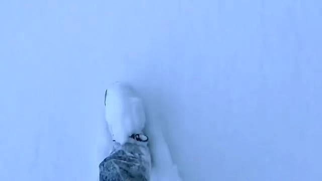 雪
