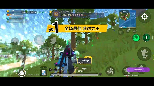 11杀吃鸡（全程ak-12）