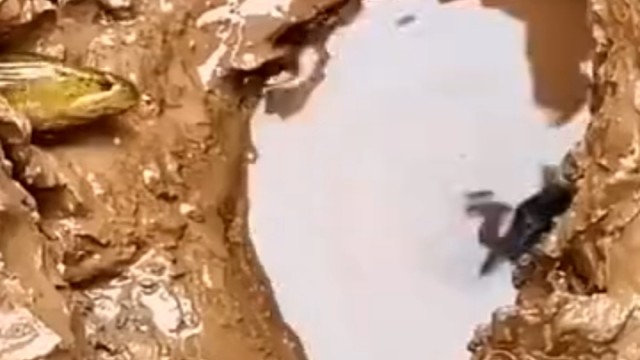 不禁想起曾经的一位勇士