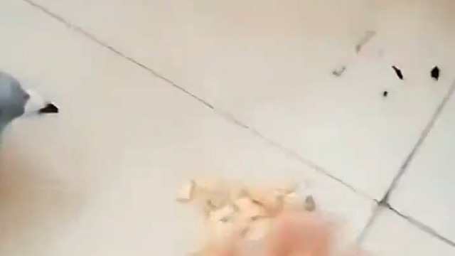 宁死不吃嗟来之食