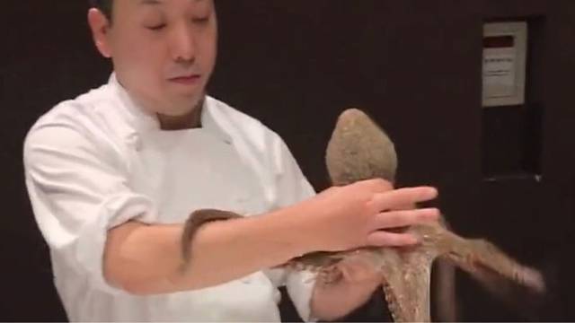 八爪鱼分割现场，得趁他不注意