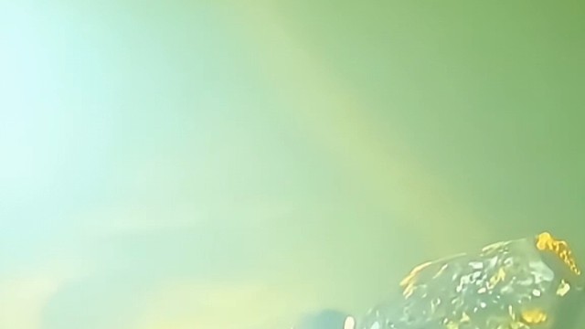 海底捡到的神秘物品