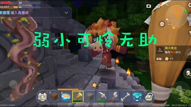 粉丝带我生存的第二天